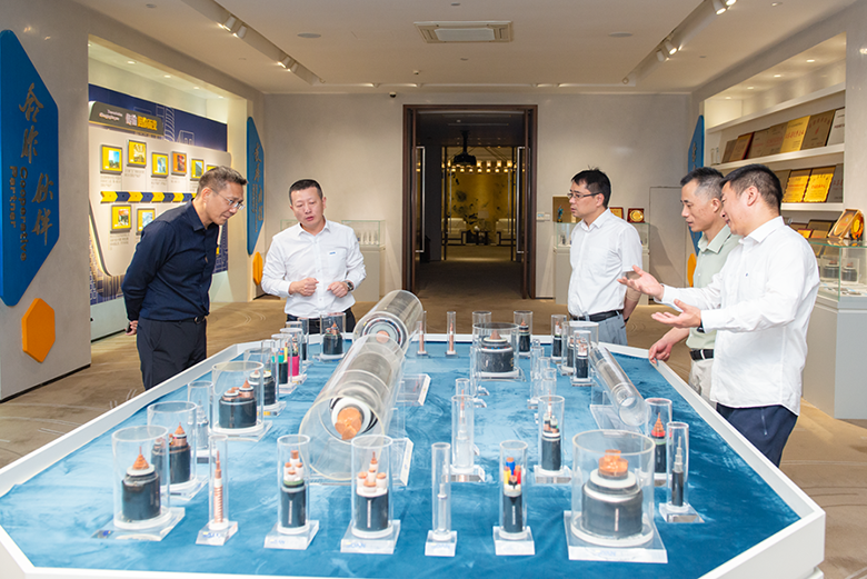 宜興市工信局局長李長青蒞臨寶安電纜指導(dǎo)工作