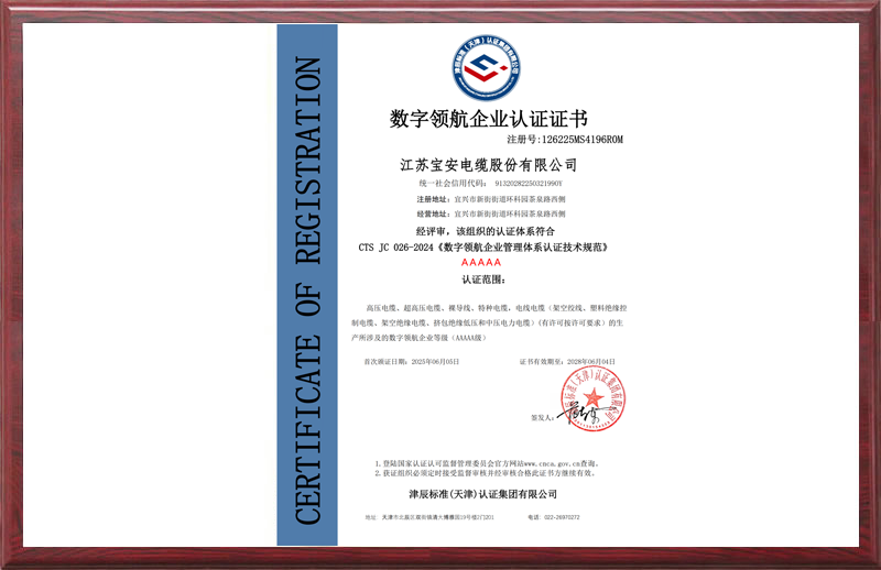 數字領航企業(yè)認證證書